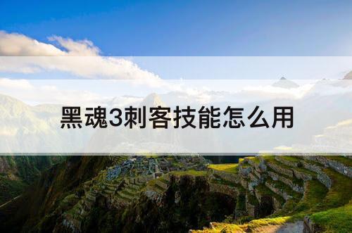 黑魂3刺客技能怎么用