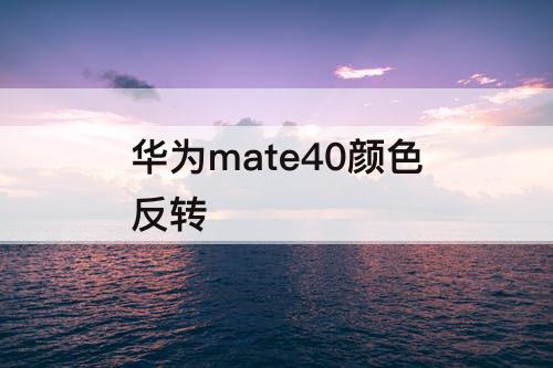 华为mate40颜色反转