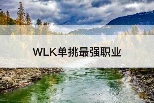 WLK单挑最强职业