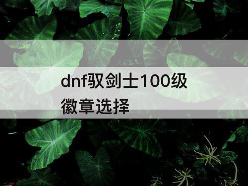 dnf驭剑士100级徽章选择