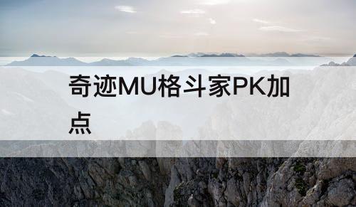 奇迹MU格斗家PK加点