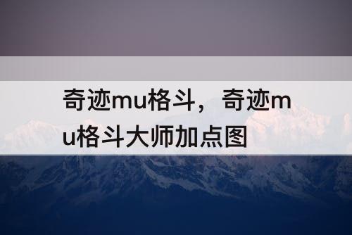 奇迹mu格斗，奇迹mu格斗大师加点图