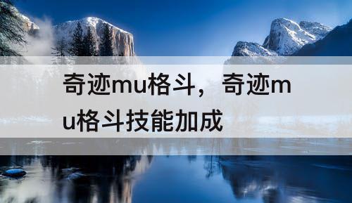 奇迹mu格斗，奇迹mu格斗技能加成