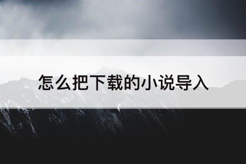 怎么把下载的小说导入