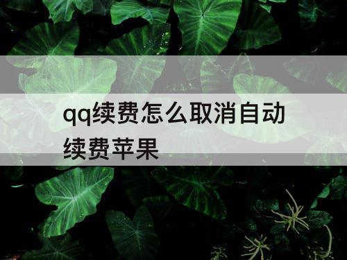 qq续费怎么取消自动续费苹果