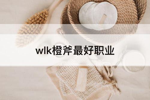 wlk橙斧最好职业