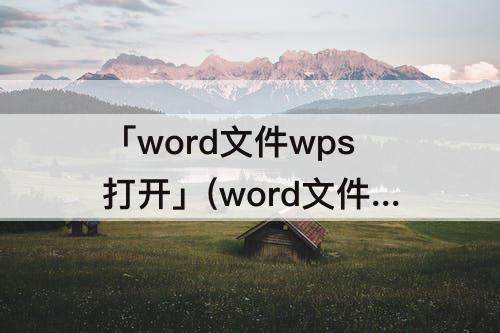 「word文件wps打开」(word文件wps打开一页变两页了)