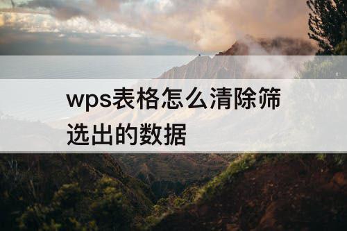 wps表格怎么清除筛选出的数据