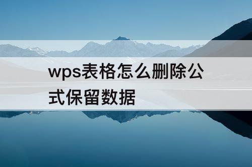 wps表格怎么删除公式保留数据