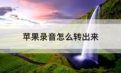 苹果录音怎么转出来