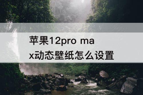 苹果12pro max动态壁纸怎么设置
