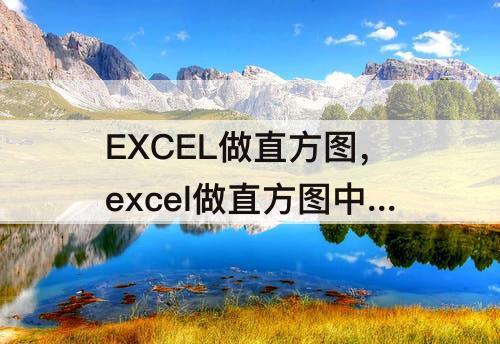 EXCEL做直方图，excel做直方图中加曲线