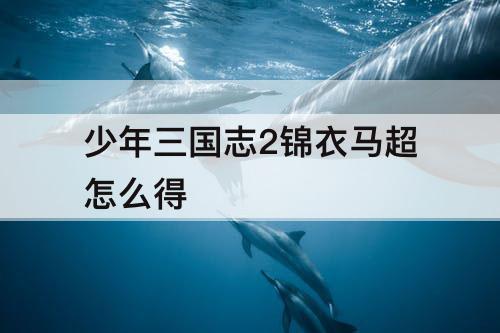 少年三国志2锦衣马超怎么得