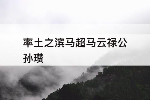 率土之滨马超马云禄公孙瓒