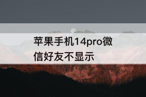 苹果手机14pro微信好友不显示