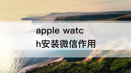 apple watch安装微信作用
