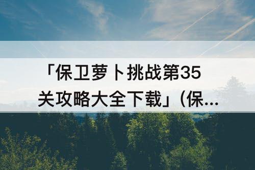 「保卫萝卜挑战第35关攻略大全下载」(保卫萝卜挑战第35关攻略大全下载安装)