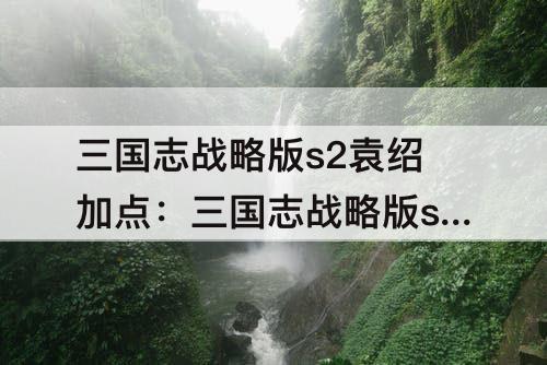 三国志战略版s2袁绍加点：三国志战略版s2袁绍加点怎么加