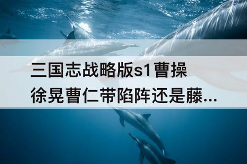 三国志战略版s1曹操徐晃曹仁带陷阵还是藤甲