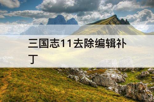 三国志11去除编辑补丁