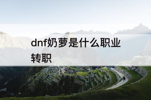 dnf奶萝是什么职业转职