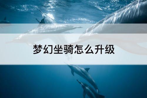 梦幻坐骑怎么升级