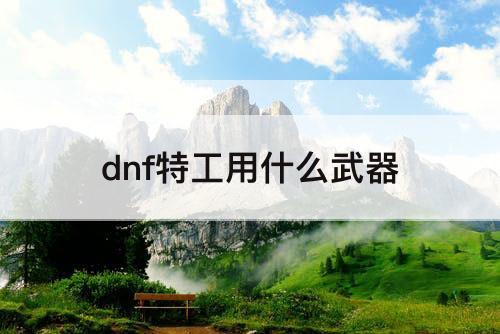 dnf特工用什么武器