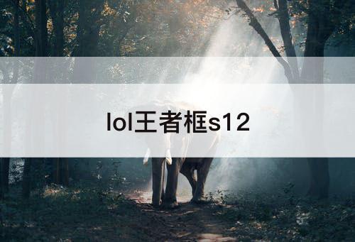 lol王者框s12