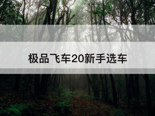 极品飞车20新手选车