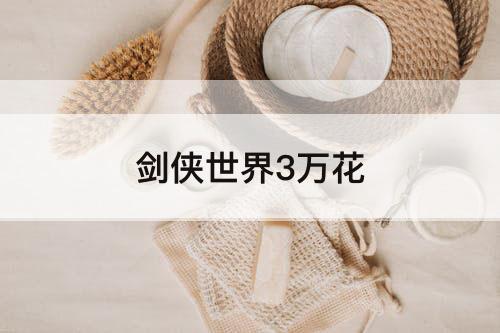 剑侠世界3万花