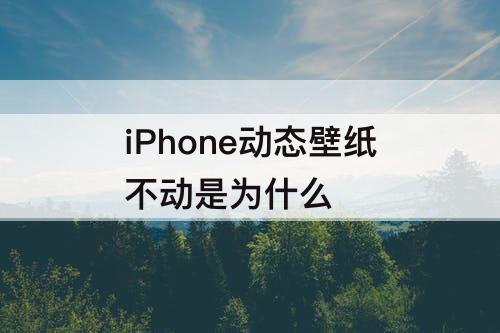 iPhone动态壁纸不动是为什么