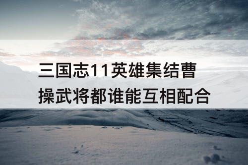 三国志11英雄集结曹操武将都谁能互相配合