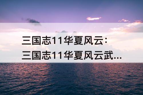三国志11华夏风云：三国志11华夏风云武将隐藏技能