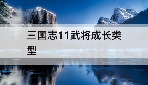 三国志11武将成长类型