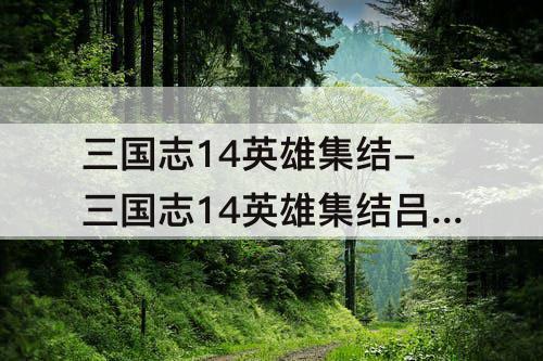 三国志14英雄集结-三国志14英雄集结吕布张纮
