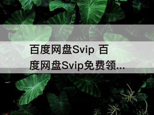 百度网盘Svip 百度网盘Svip免费领取