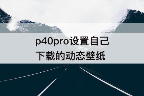 p40pro设置自己下载的动态壁纸