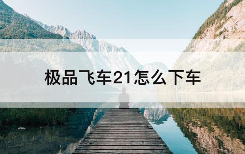 极品飞车21怎么下车