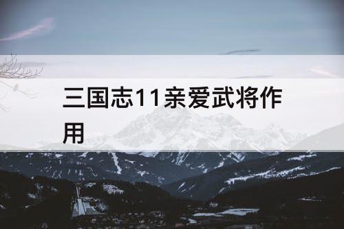 三国志11亲爱武将作用