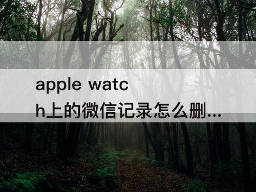 apple watch上的微信记录怎么删除
