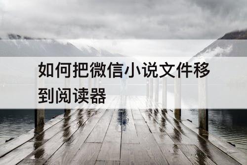如何把微信小说文件移到阅读器