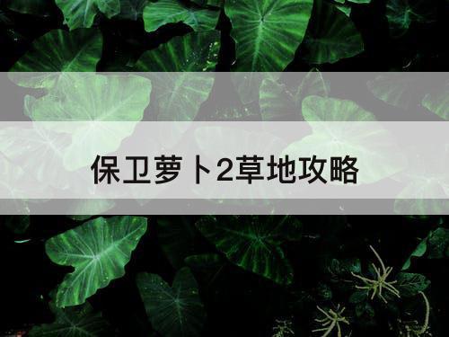 保卫萝卜2草地攻略