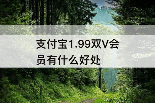 支付宝1.99双V会员有什么好处
