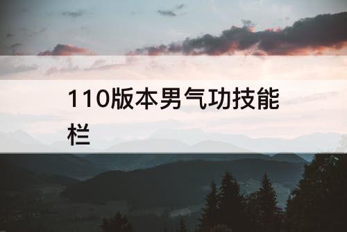 110版本男气功技能栏