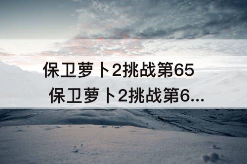 保卫萝卜2挑战第65 保卫萝卜2挑战第65关攻略