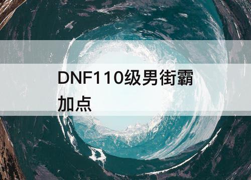 DNF110级男街霸加点