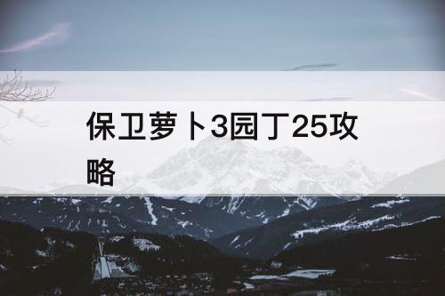 保卫萝卜3园丁25攻略