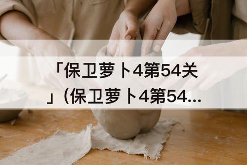 「保卫萝卜4第54关」(保卫萝卜4第54关太空穿越攻略)