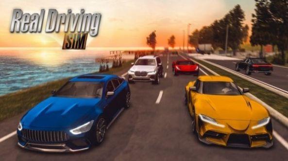 realdrivingsim汽车版