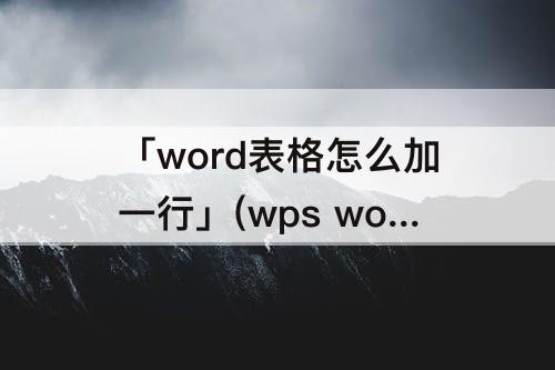 「word表格怎么加一行」(wps word表格怎么加一行)